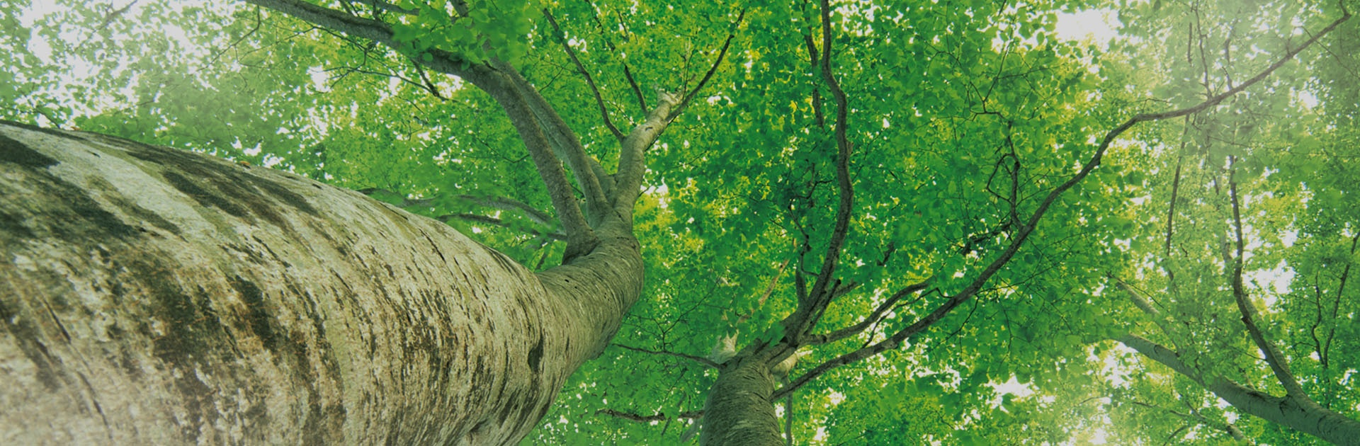 QQPK����-�����ɼ��Ƿ�,����Ʒ�Ƶ�ʵ��