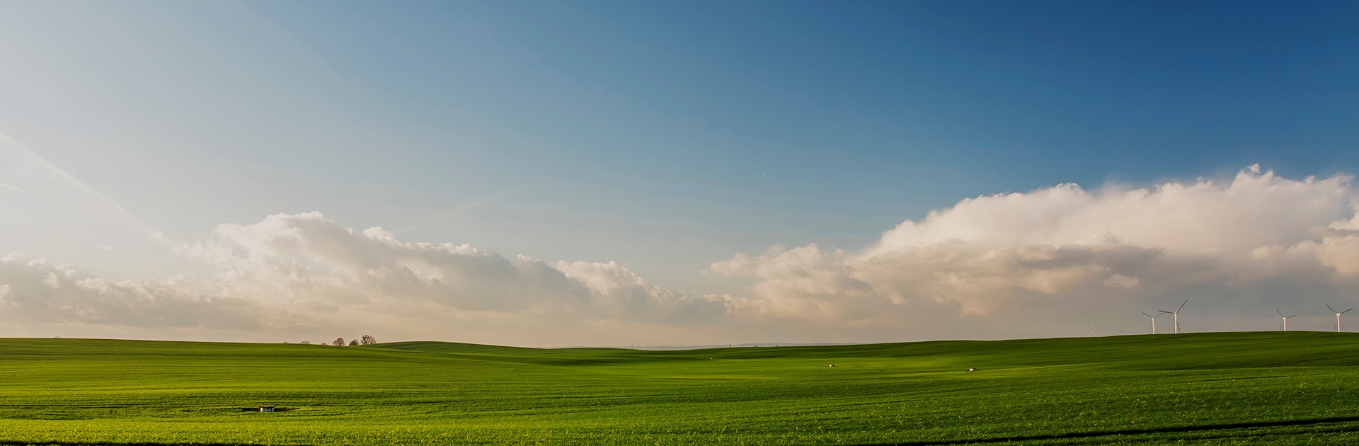 QQPK����-�����ɼ��Ƿ�,����Ʒ�Ƶ�ʵ��