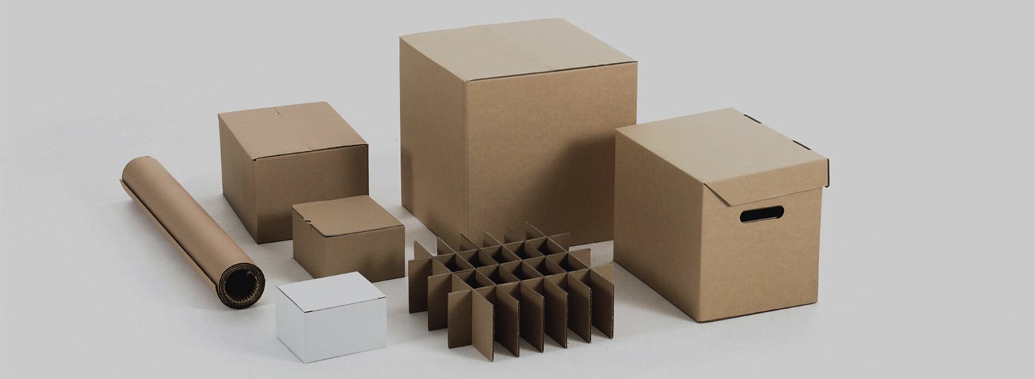 ����ֽ����ֽ��