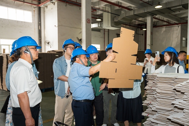 1747631237313863 1747631237313863