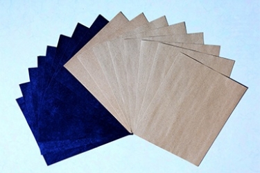 ţƤֽ���ص㼰Ӧ�ù�ģ