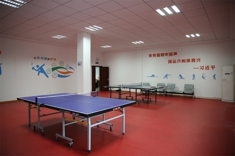 ��Ⱥ�������� (11)