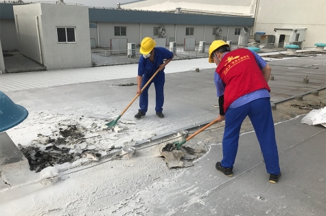 �����ݶ���ɨ